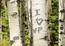 Red Flags on Dating App Profiles: A Guide on When to Swipe Left