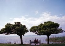 Top Dating Apps for Parents with Hectic Schedules Top Dating Apps for Parents with Hectic Schedules