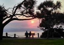 Graceful Ways to Deal with Rejection on Dating Apps